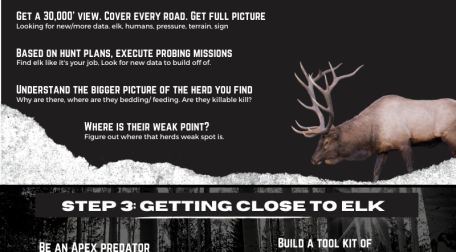 Elk Hunting Course 201